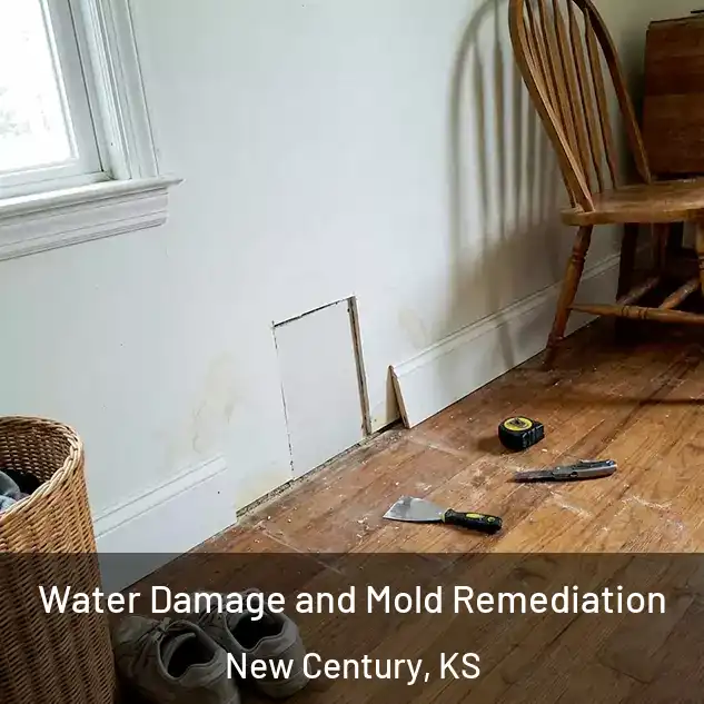  Water Damage and Mold Remediation New Century, KS